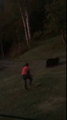 Download Video: Un énorme grizzly charge un homme qui lui tire dessus avec son fusil (Canada)