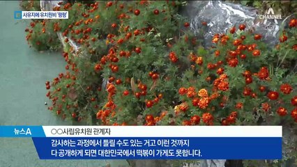 집조경·병원비로 유치원비 ‘펑펑’…적발된 명단 공개