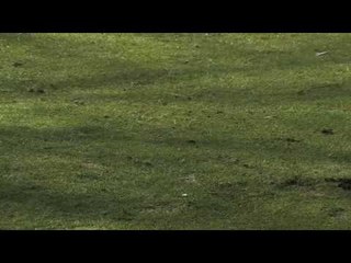 Goodwood Celebrity Golf