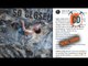 Adam Ondra Gets MIGHTY Close To The 9b Counter | Climbing Daily Ep.1278