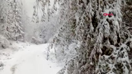 Sakarya'nın Yüksek Kesimleri Beyaza Büründü