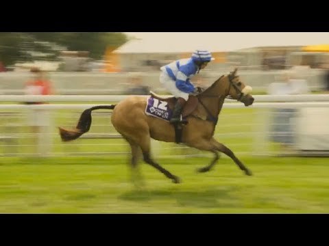 Goodwood Racecourse Highlights 2013 - Horse Racing at its Best
