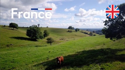 Video Clip: "Made in France Made for you" - Version anglaise