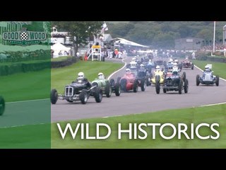 Goodwood Trophy Highlights | Revival 2017