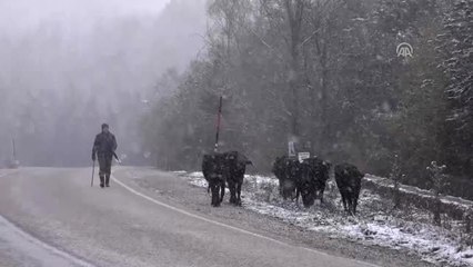 Kar Yağışı Yaylalardan Göçü Başlattı