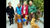 Pont-à-Mousson Les membres du réseau du Rau d'Esch présentent les chiens qu'ils vont donner à l'association Handichiens