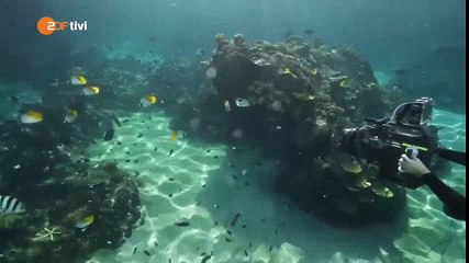 Tải video: Mako Mermaids : BTS Underwater scene Zac