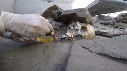 Arqueologistas descobrem cinco novos esqueletos em Pompeia
