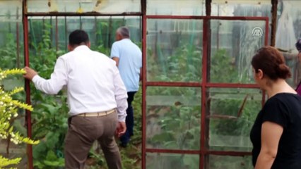 Antalya'da dolu tarım alanlarına zarar verdi