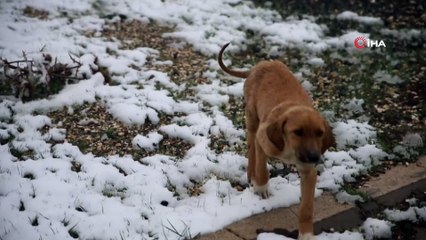 Eskişehir’de yüksek kesimler karla kaplandı