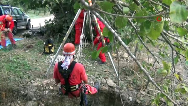 AKUT dereye düşen yavru kediyi 2 saatte kurtardı