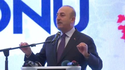Bakan Çavuşoğlu: "Yurtdışında Yaşayan Vatandaşlarımıza Hizmetin En İyisini Vermek Bizim...