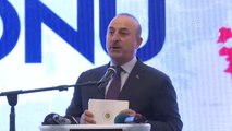 Bakan Çavuşoğlu: 