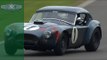 AC Cobra hurled to pole position at Revival