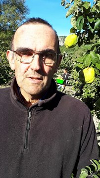 Hervé Roux, producteur de coings, travaille à la création d'une IGP entre Drôme, Vaucluse et Hautes-Alpes