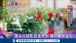 應采兒實境秀誤吞4公分魚刺　老公陳小春好膽心猛咳出來眾人驚呼「好大啊」│【娛樂星世界】20181025│三立新聞台