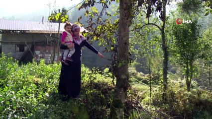 Ayıların Kış Uykusu Öncesinde Son Vurgunu