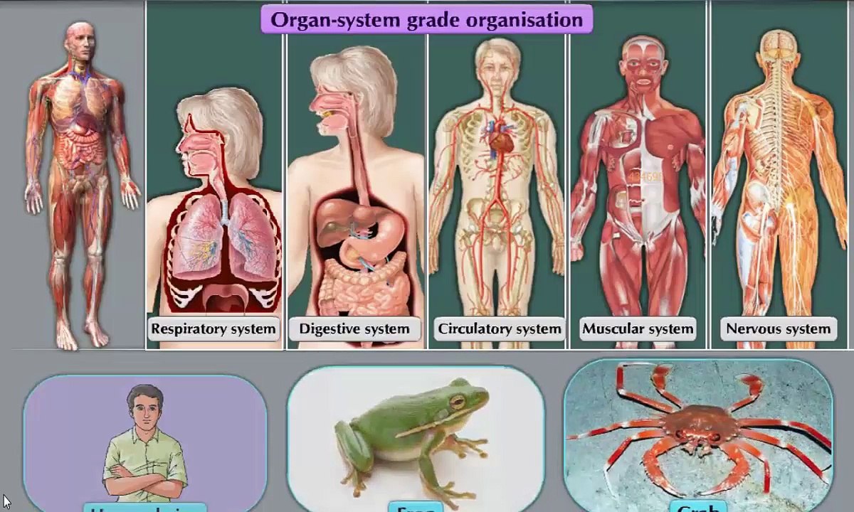 Science_Paper II_Chapte_06_Part_2