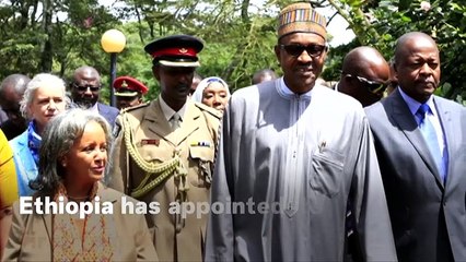 Who Is Sahle-Work Zewde? Ethiopia Appoints Africa's Only Female Head Of State