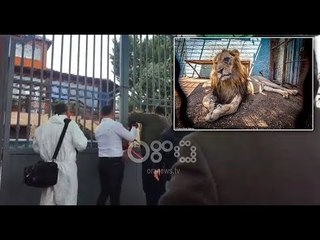 Ora News - Fier, policia hyn me forcë në kopshtin zoologjik privat