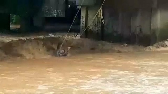 В Мексике спасли мотоциклиста