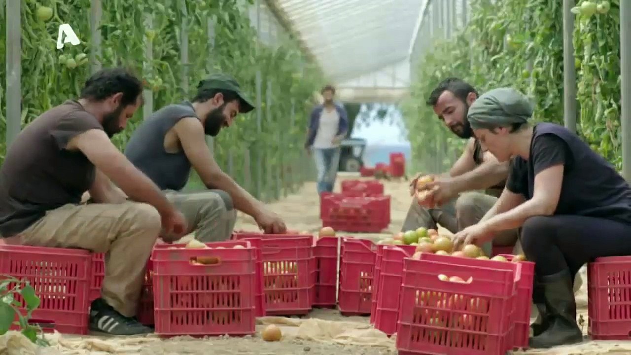 Η λέξη που δε λες - Επεισόδιο 1
