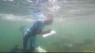 Ocean conservation: Kenyan fishermen turn reef rangers