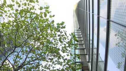 Subindo pelas paredes