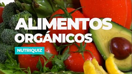 7est-nutriquiz-251018