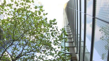 Uma aranha francesa em Londres