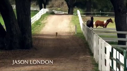 Neue Ganzer Film Familien Deutsch 2018