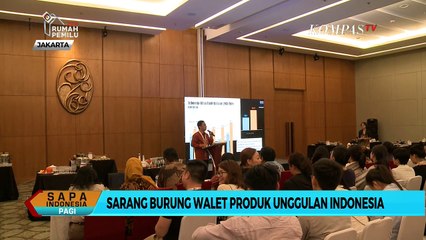 Sarang Burung Walet Produk Unggulan Indonesia