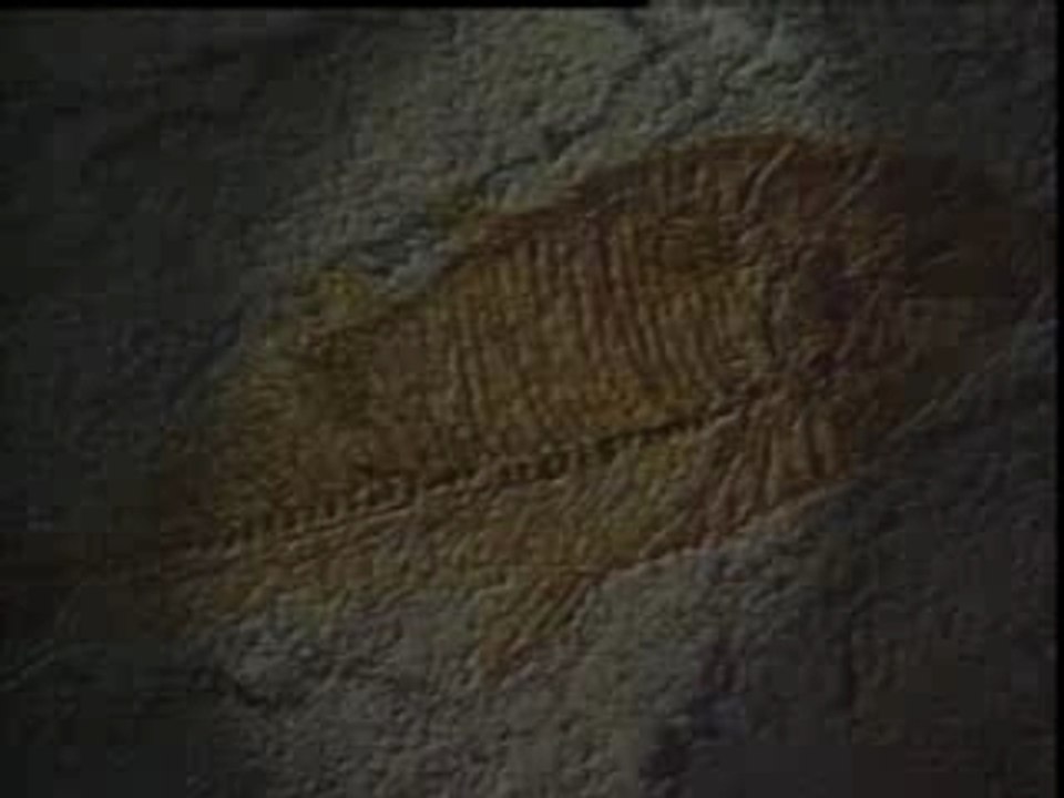 Civilisations du soleil Azteque (1 sur 5)