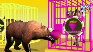 Learn Color Kids with colourful Wild Animal | Cages Cartoon for children | Kids_Home,04_Oct252018