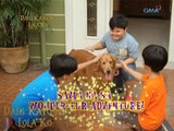 Daig Kayo Ng Lola Ko: Wonder-fur adventure ni Princess  | Teaser Ep. 78