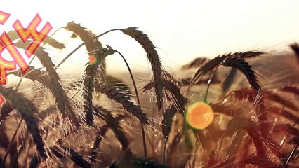 온라인카지노〔▷▷▶「( ＨＯＦ３７。CoM )」◀◁◁〕예스카지노