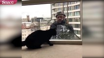Bina camlarını temizleyen adamla oynamaya çalışan sevimli kedi