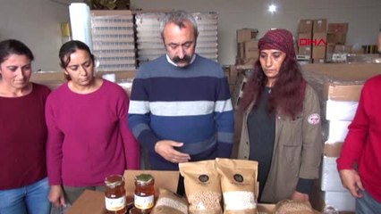 Ovacık'ın Organik Ürünlerinden İlk Parti Amerika ve İngiltere'ye İhraç Edildi