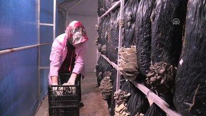 Kadın girişimci işleri büyüyünce eşini işe aldı - UŞAK