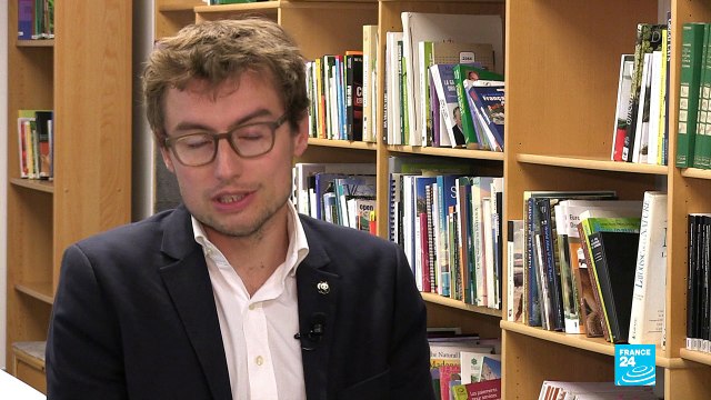 Soja, la déforestation dans nos assiettes