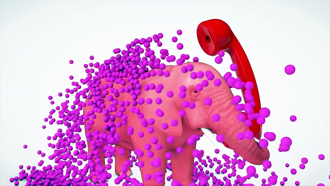 Learn Colors With Animals W Phone Cars Learn Numbers Ball Fun Videos For Kids