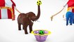 Learn Colors With Elephant Animals W Soccer Ball And Learn Shapes Nursery Rhymes Song For Kids