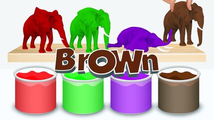 Colorful Elephant Xylophone - Learn Colors with Animals - Rainbow Animals