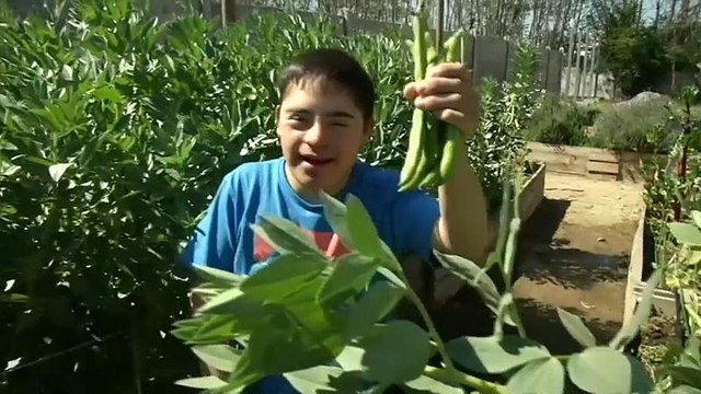 Un huerto abierto a los jóvenes con síndrome de Down