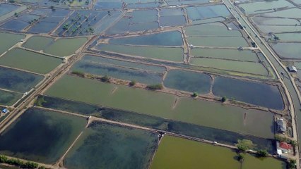 Aerial Shot Of Fields - Cindi Peterson Tompkins