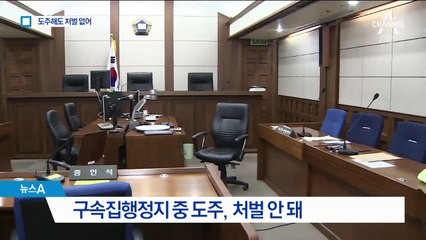 도주해도 처벌은 없어…‘구멍 숭숭’ 구속집행 정지