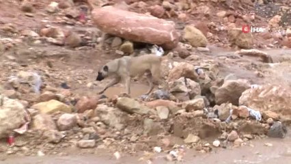 Mardin'de Dereler Taştı, Asfaltlar Yarıldı
