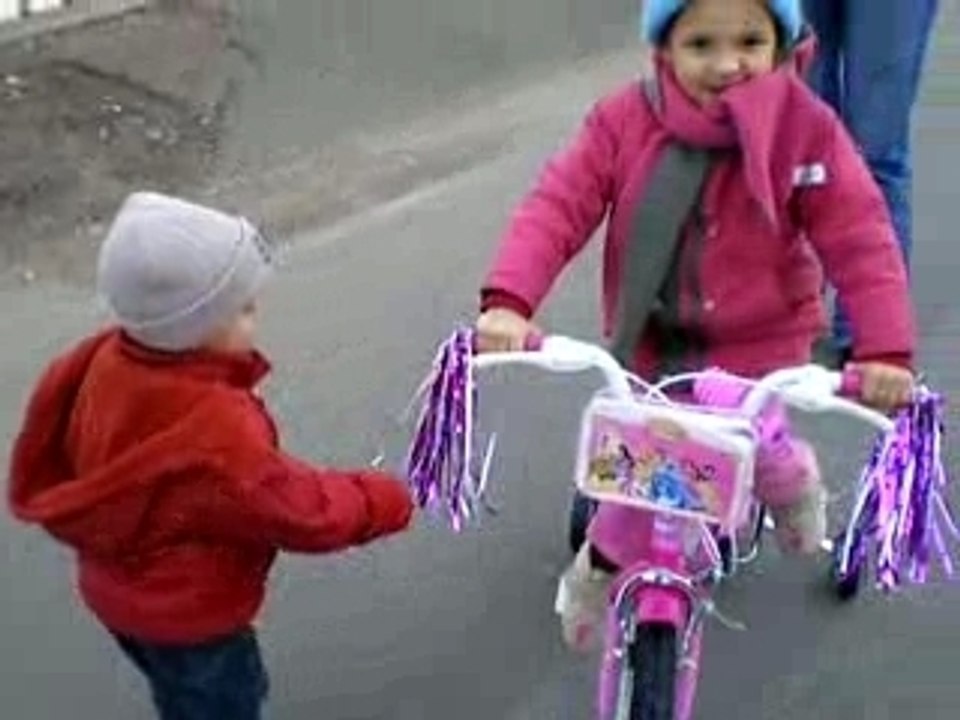 ma grande coccinnelle