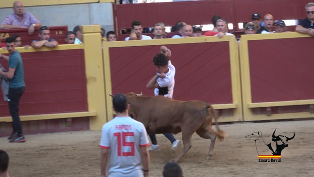 Capea Fiestas Moralzarzal 2018 / running of the bulls bullfight 4K