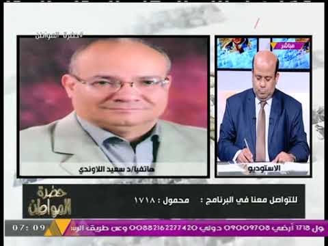 خبير علاقات سياسية دولية: المعونة الأمريكية عار ويجب الاستغناء عنها لتلقين أمريكا درسا قاسيا
